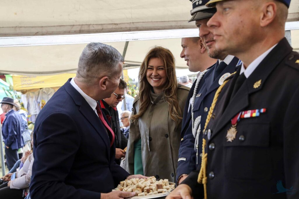 Losowe zdjęcie z galerii