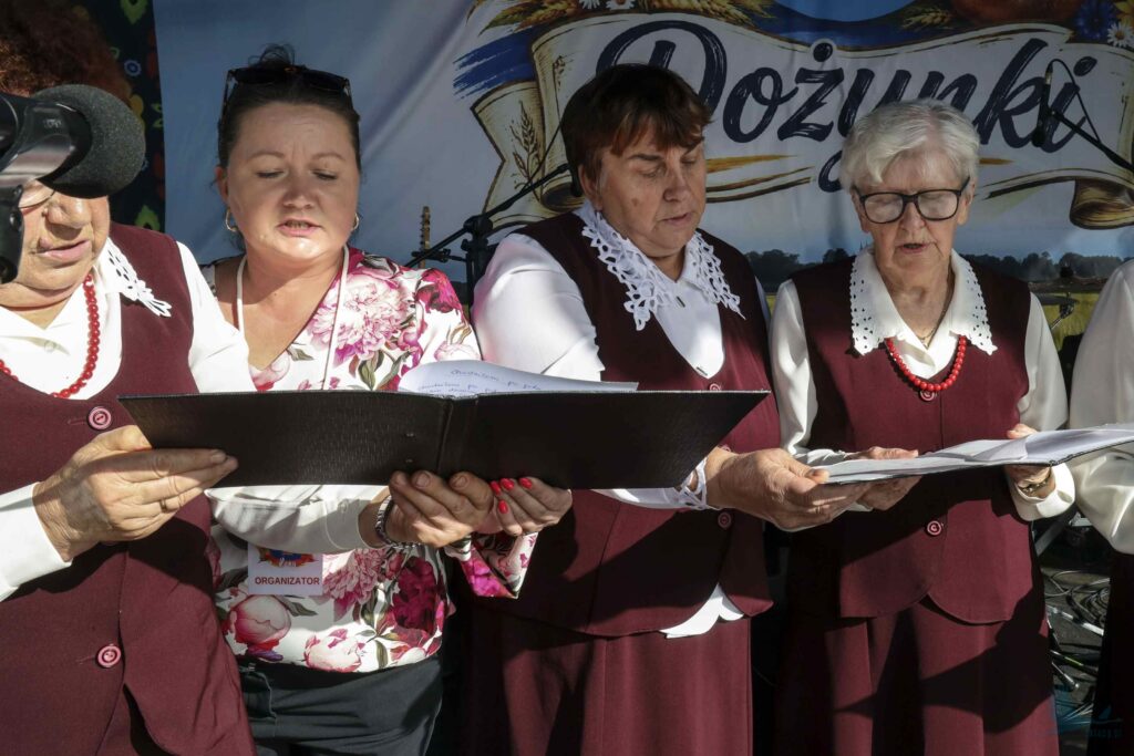 Losowe zdjęcie z galerii