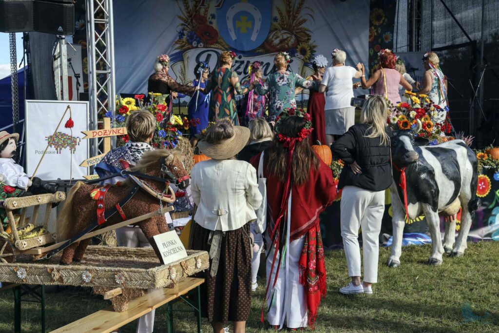 Losowe zdjęcie z galerii