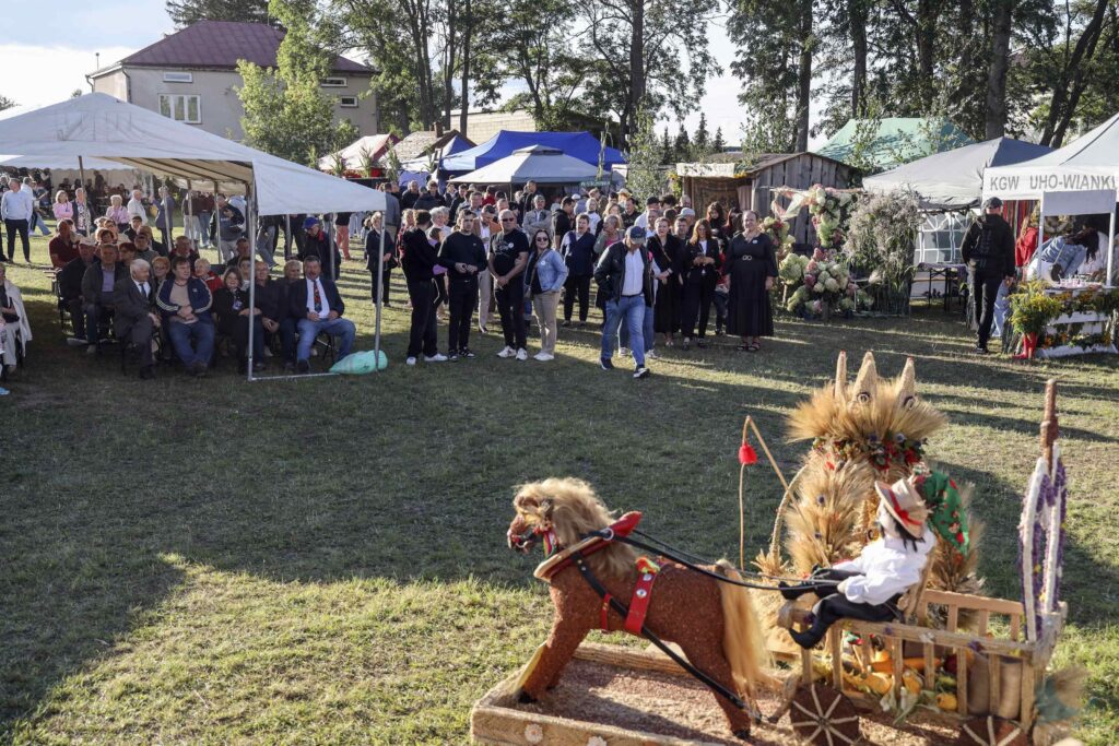 Losowe zdjęcie z galerii