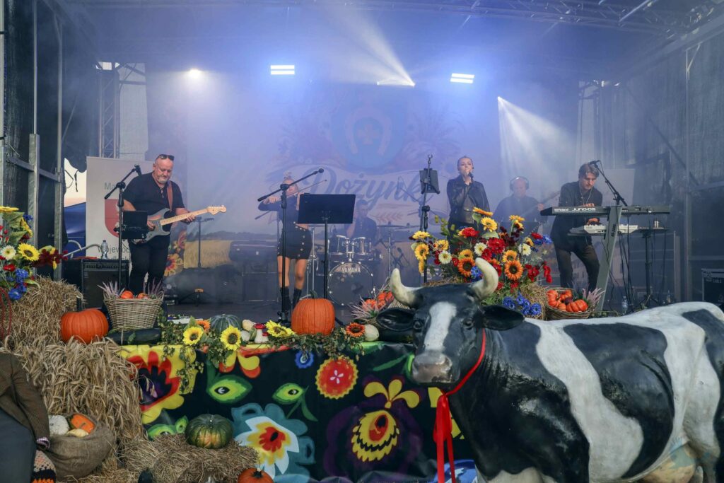 Losowe zdjęcie z galerii